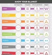 SOLAXO Jaipuri Silk Gold Print Designer Rajai / Comforter / Duvet / Blanket - Queen, Blue, Silk, Rajai, Pack of1